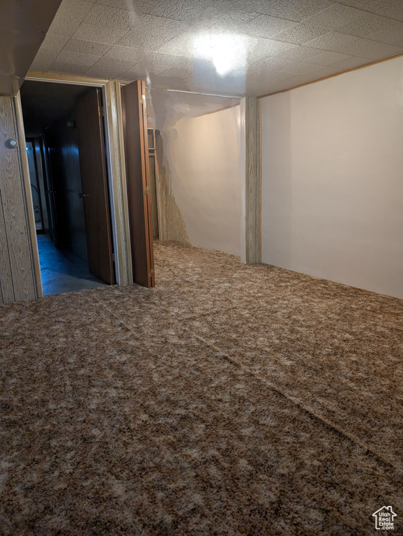 Finished basement with carpet