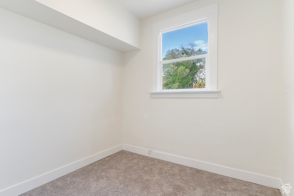 Spacious closet featuring carpet flooring