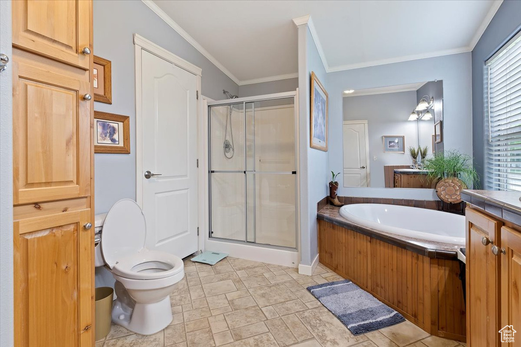 Full bath featuring toilet, vanity, a stall shower, crown molding, and a bath