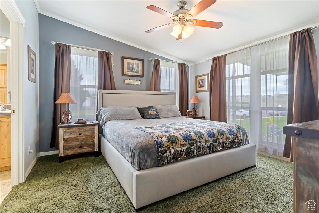 Carpeted bedroom with lofted ceiling, ornamental molding, and a ceiling fan