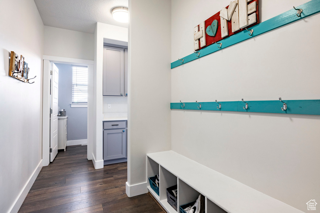 Mudroom with dark wood-style flooring and baseboards