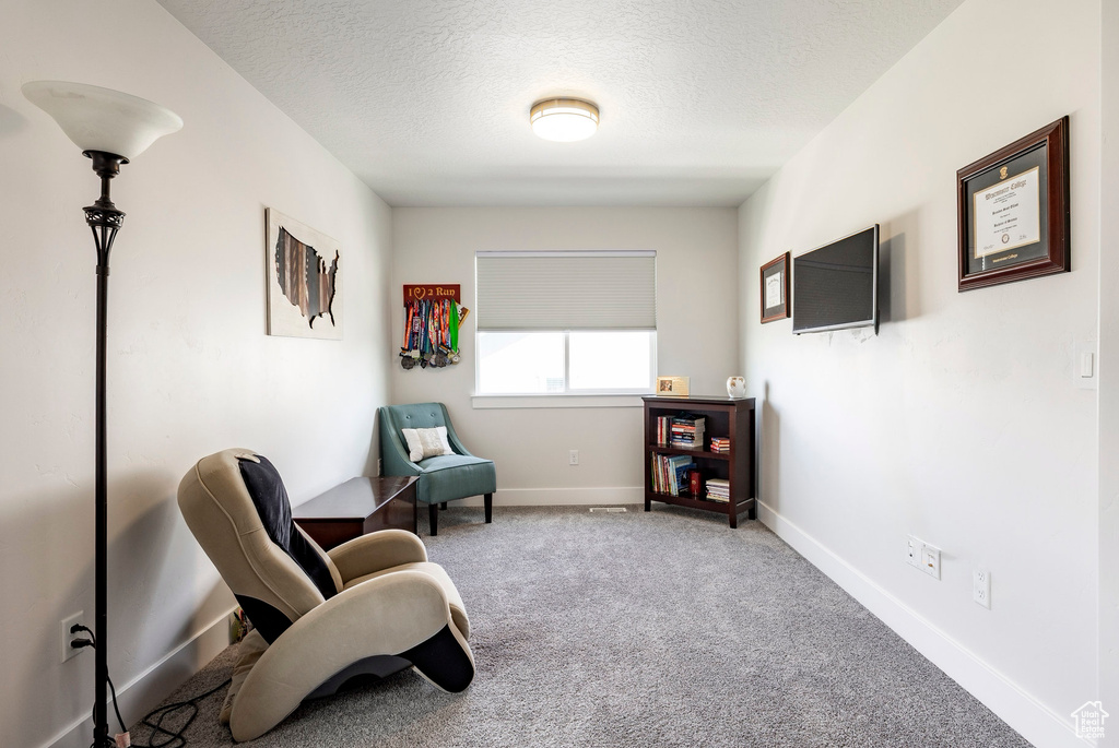 Sitting room featuring a textured ceiling, carpet, and baseboards