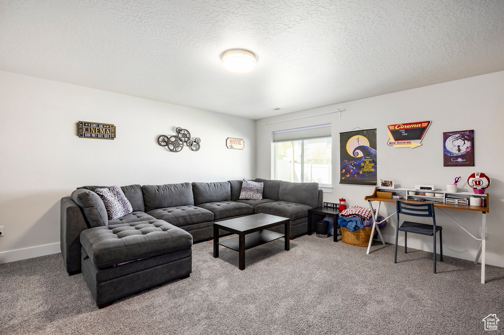 Living room with carpet flooring and a textured ceiling