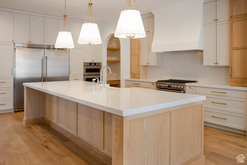 Kitchen featuring light wood-style flooring, stainless steel appliances, premium range hood, light countertops, and a kitchen island with sink