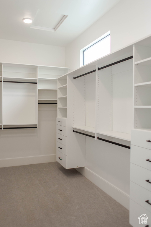 Spacious closet featuring light colored carpet