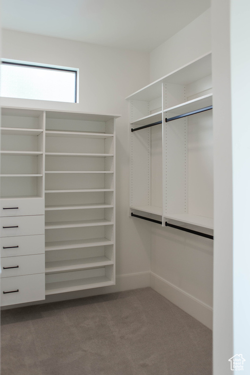 Spacious closet with dark colored carpet
