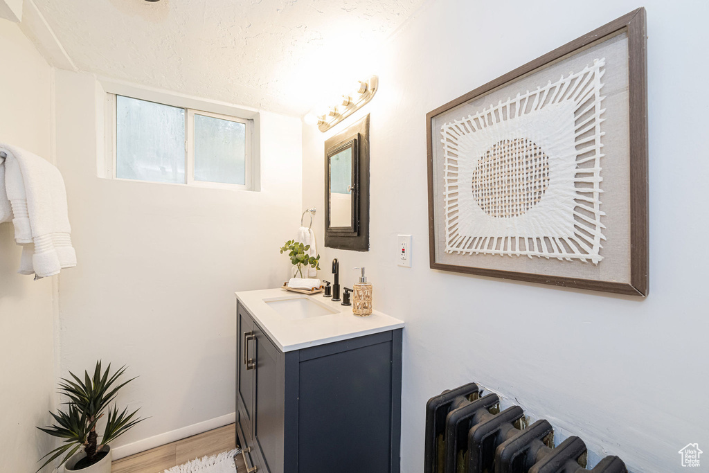 Bathroom with wood finished floors and vanity