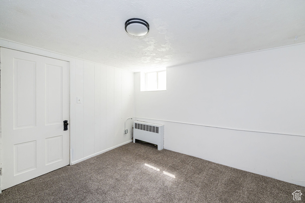 Below grade area featuring radiator and carpet floors