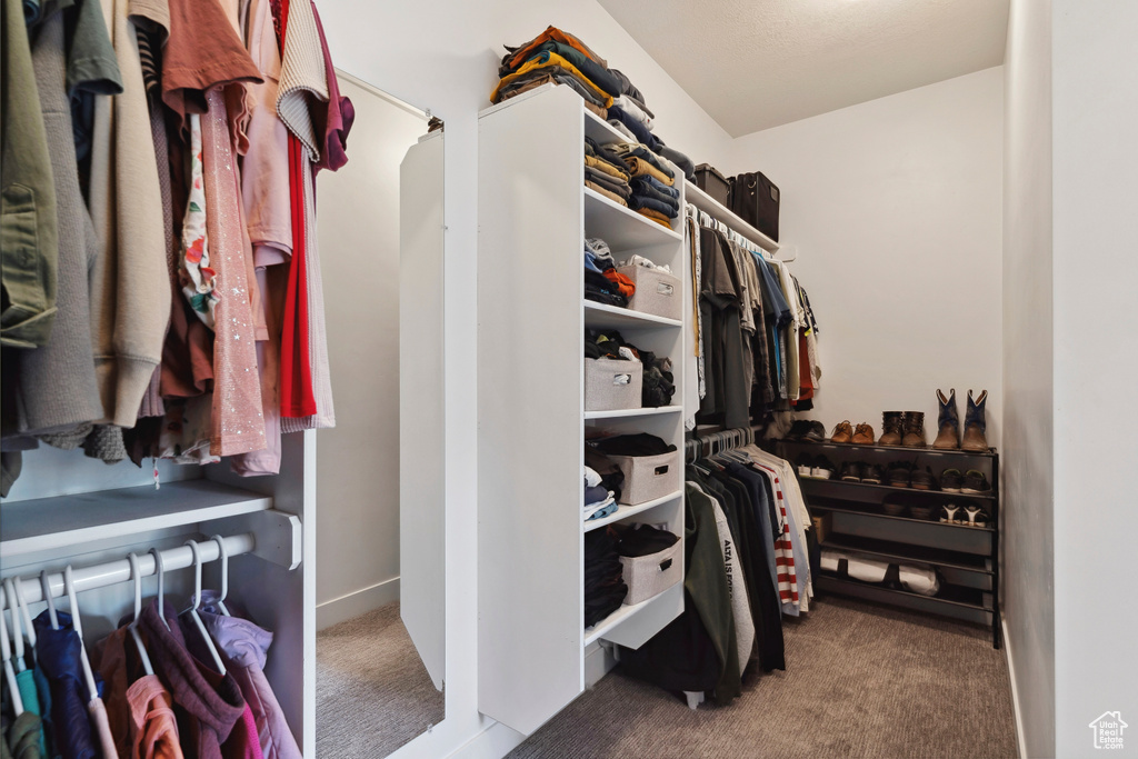 Spacious closet featuring carpet floors