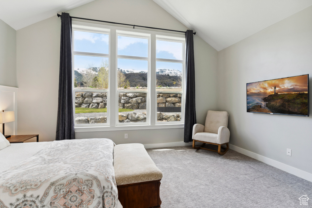 Carpeted bedroom with baseboards, multiple windows, and vaulted ceiling