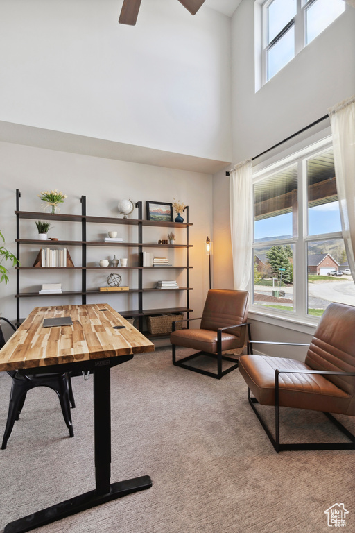 Carpeted office with a towering ceiling and a ceiling fan