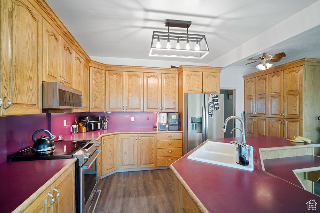 Kitchen with a ceiling fan, stainless steel appliances, a sink, and dark wood-type flooring