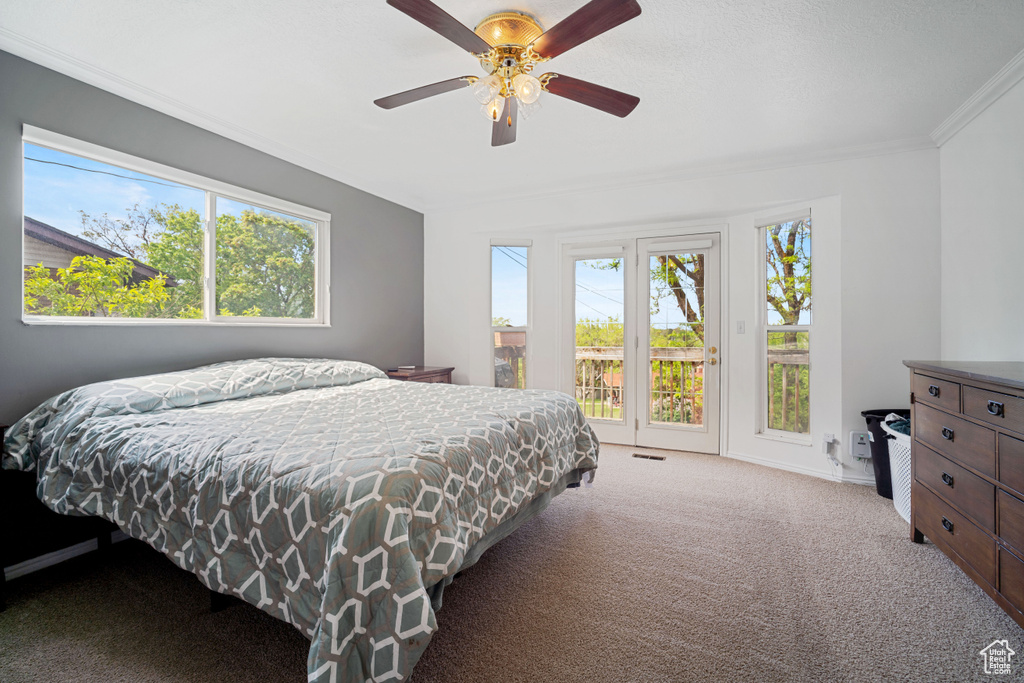 Carpeted bedroom with ornamental molding, ceiling fan, and access to exterior