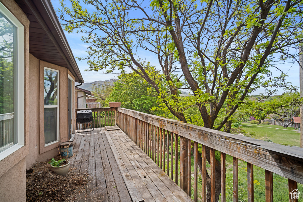 View of deck