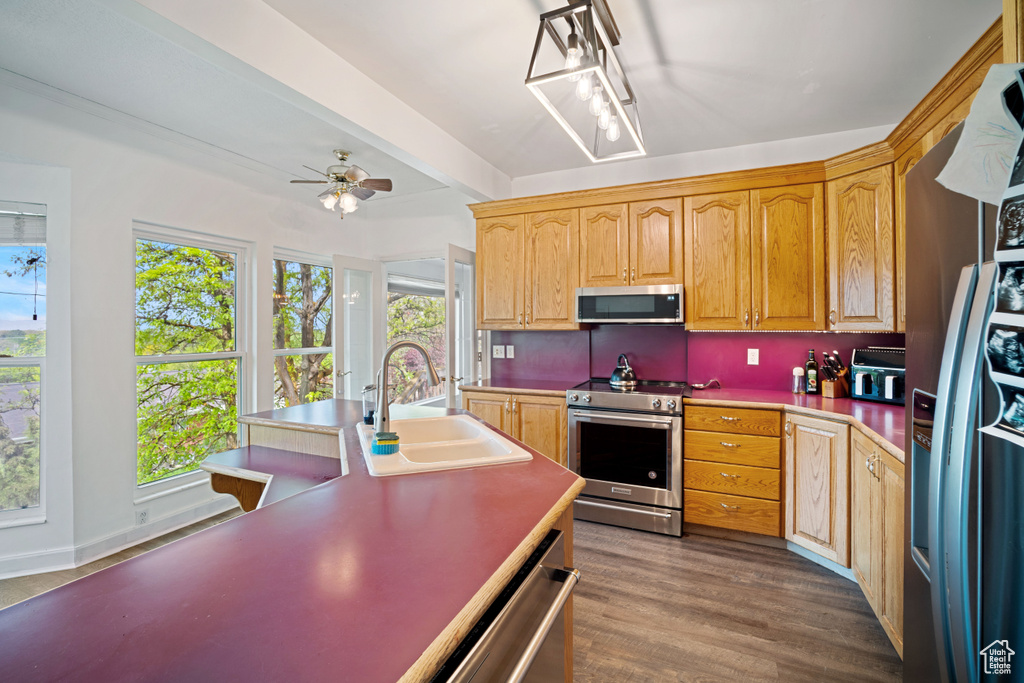 Kitchen featuring a sink, ceiling fan, stainless steel appliances, and dark wood-type flooring