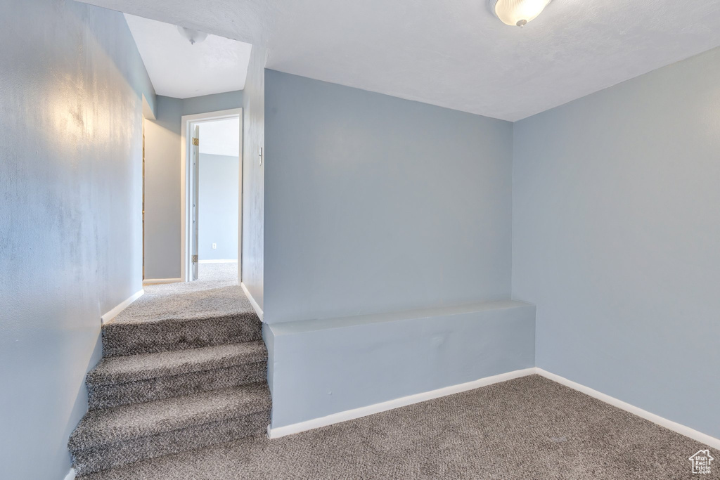 Stairway with carpet flooring and baseboards