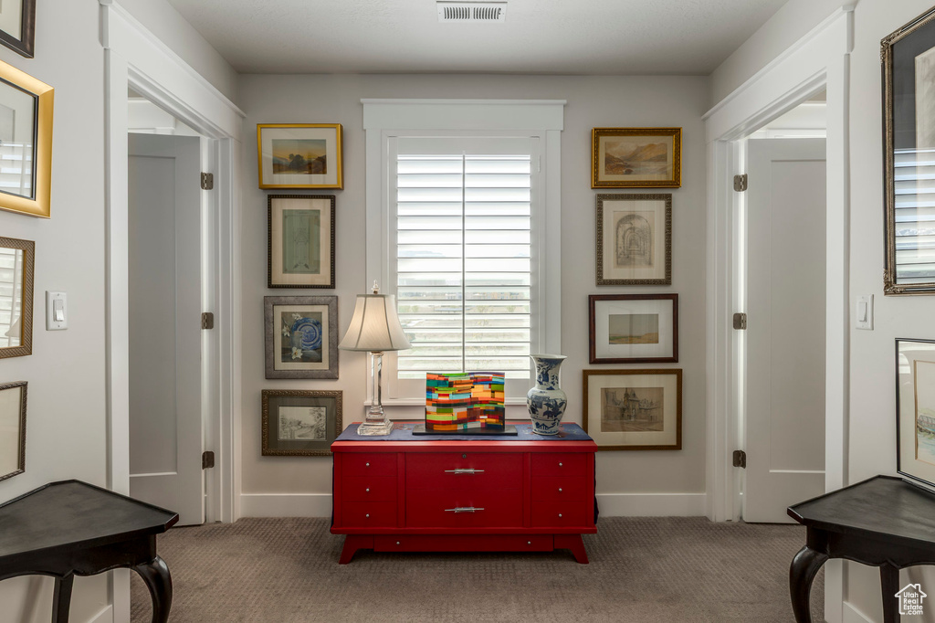 Hall with carpet flooring, healthy amount of natural light, and baseboards