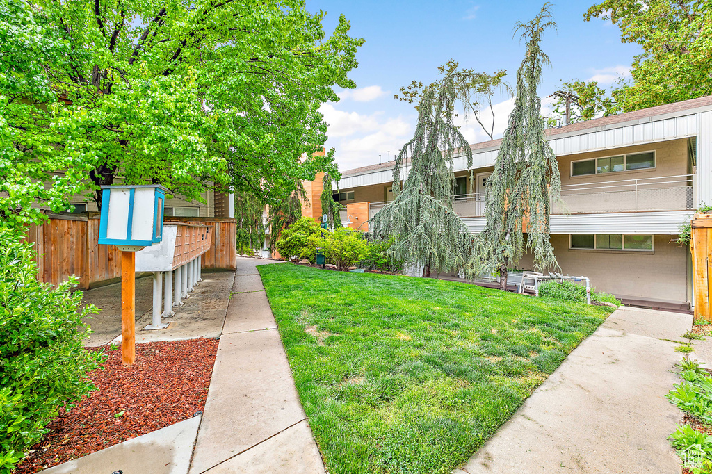 View of grassy yard