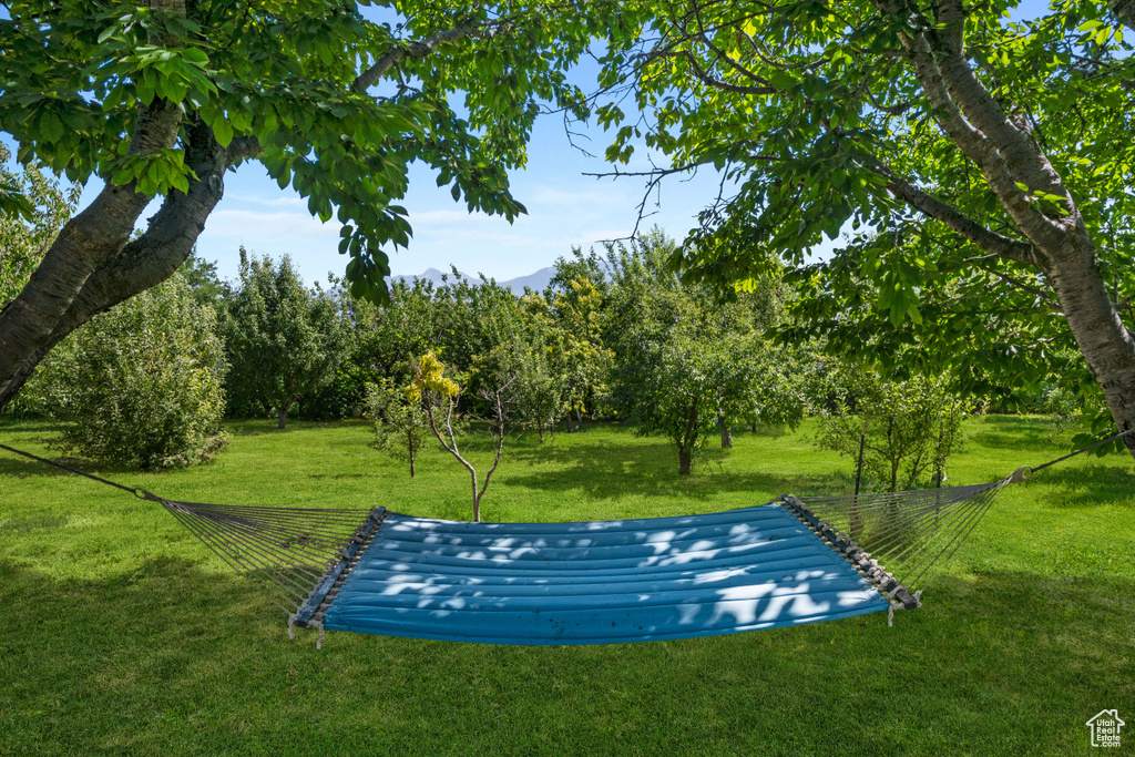 View of home\\\'s community featuring a lawn and a mountain view