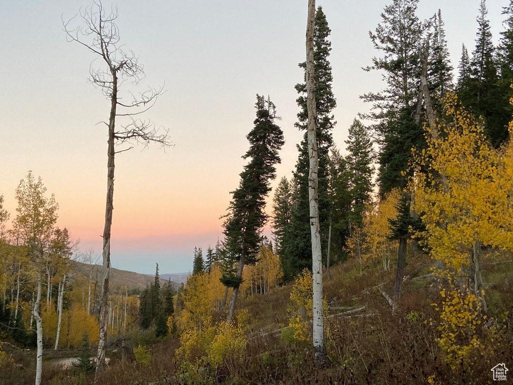 View of nature at dusk