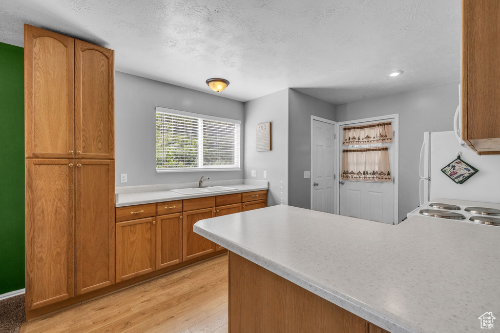 Kitchen featuring a sink, light wood-style flooring, light countertops, freestanding refrigerator, and brown cabinetry