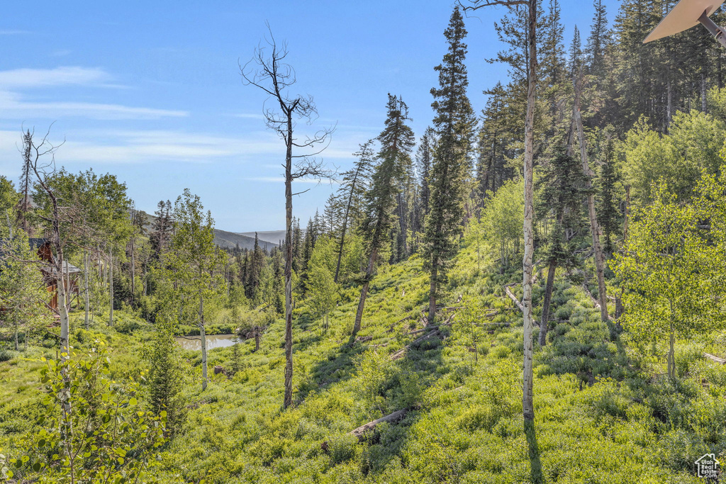 View of mountain backdrop with a forest