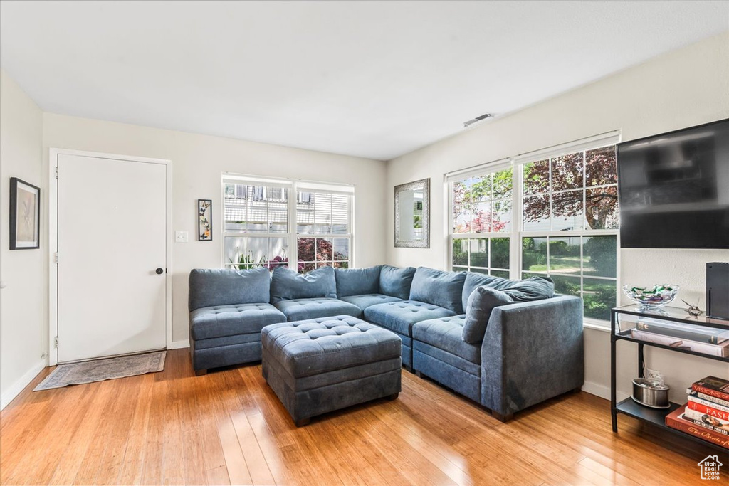Living room with light wood finished floors, healthy amount of natural light, and baseboards