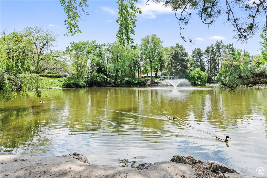 Water view