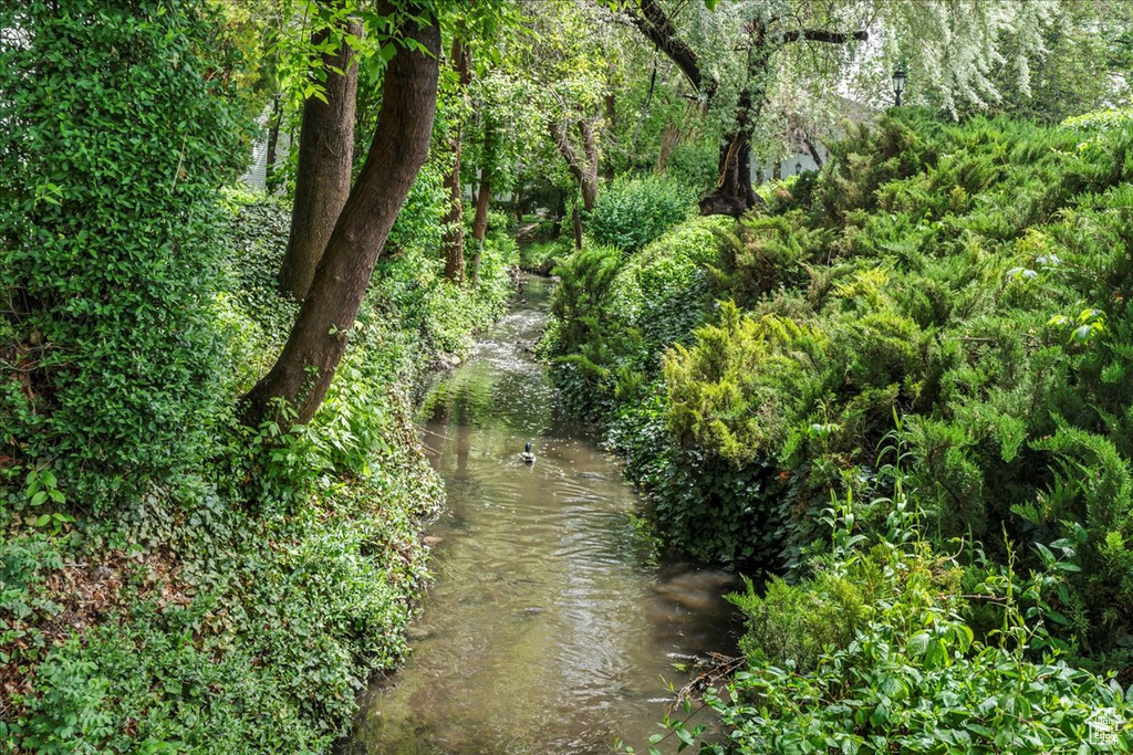 View of nature