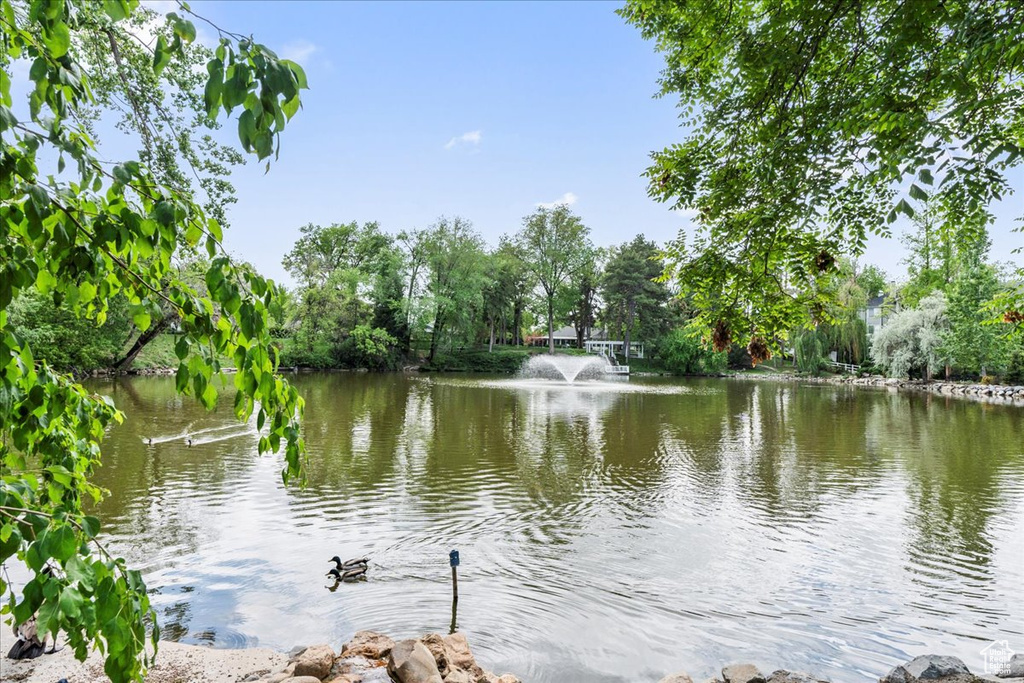 Water view