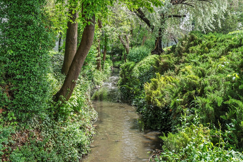 View of nature