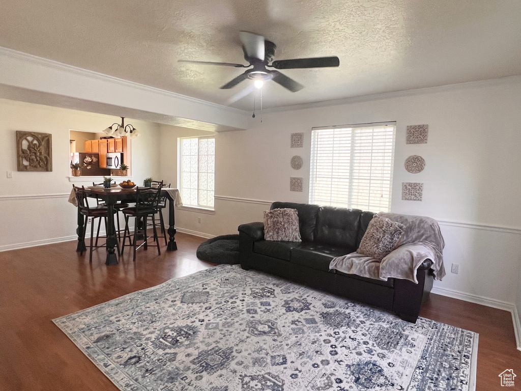 Living area with ceiling fan, a chandelier, wood finished floors, crown molding, and a textured ceiling