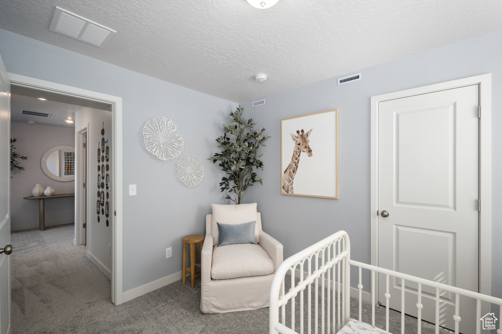Carpeted bedroom with a crib, baseboards, and a textured ceiling