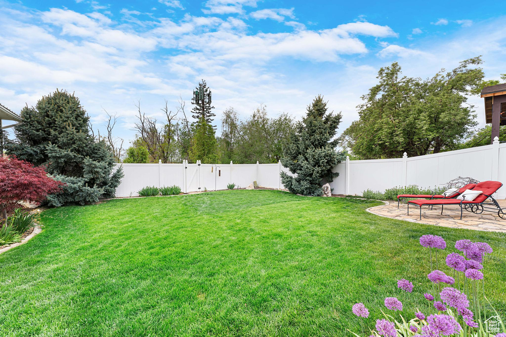 View of yard with a patio