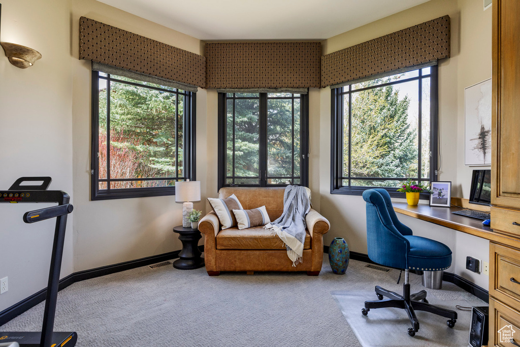 Carpeted office space with baseboards and built in study area