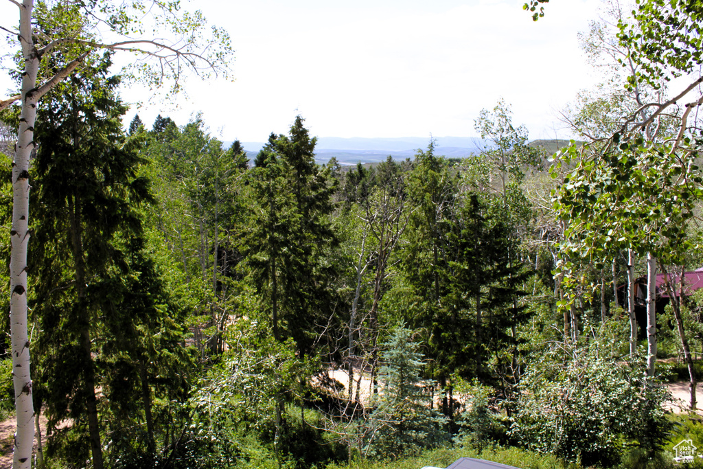 View of woods