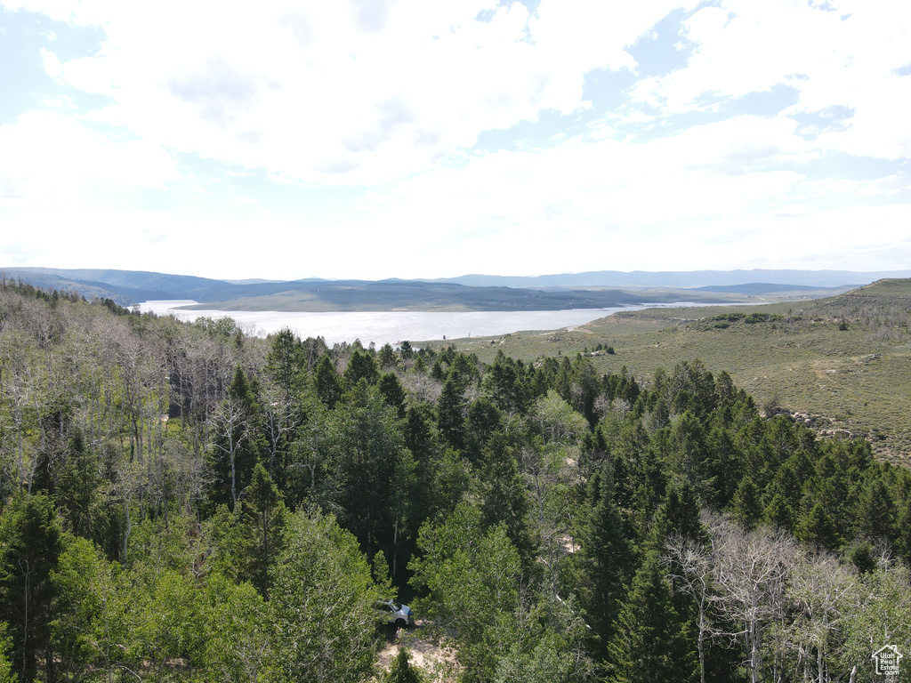 View of mountain backdrop with a heavily wooded area