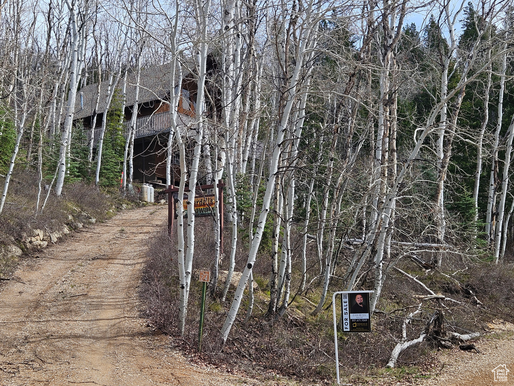 View of dirt / gravel road