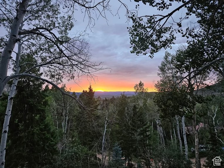 View of nature at dusk