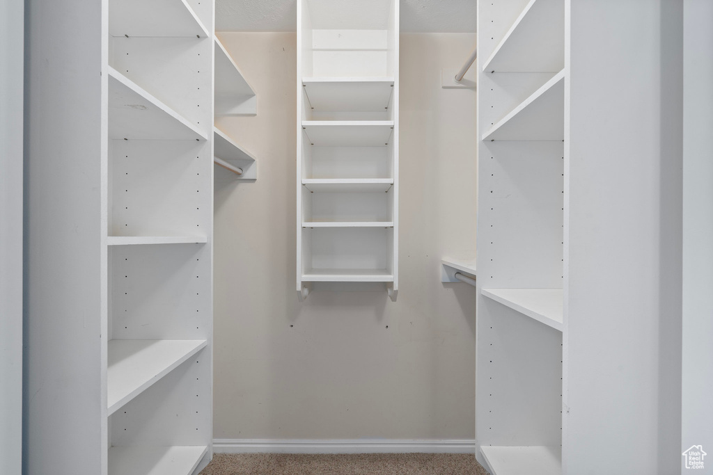 Spacious closet featuring carpet