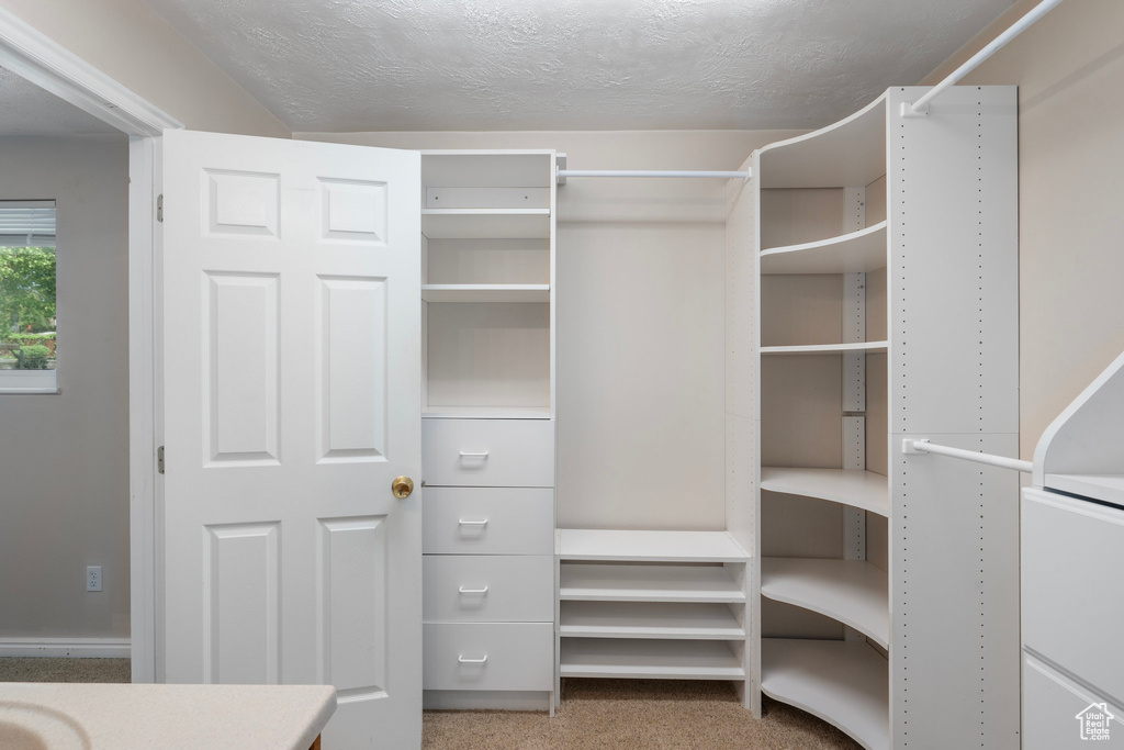 Walk in closet featuring carpet floors