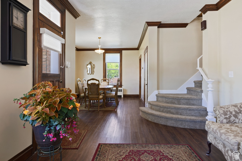Foyer with dark wood finished floors, ornamental molding, stairway, and baseboards
