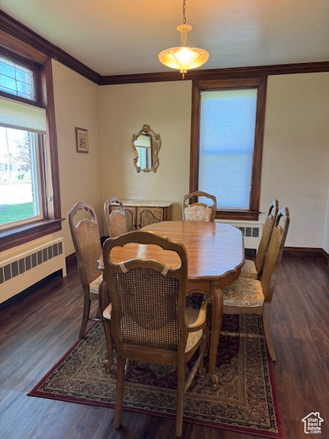 Dining space featuring radiator, wood finished floors, baseboards, and crown molding