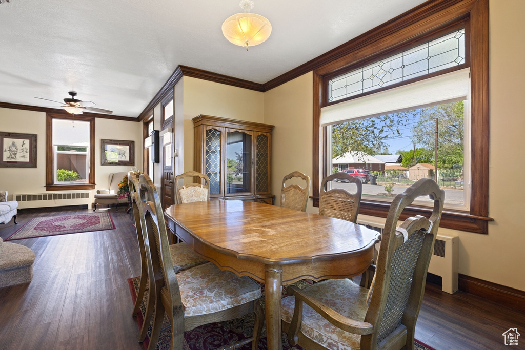 Dining room featuring radiator heating unit, dark wood-style floors, crown molding, a ceiling fan, and baseboards