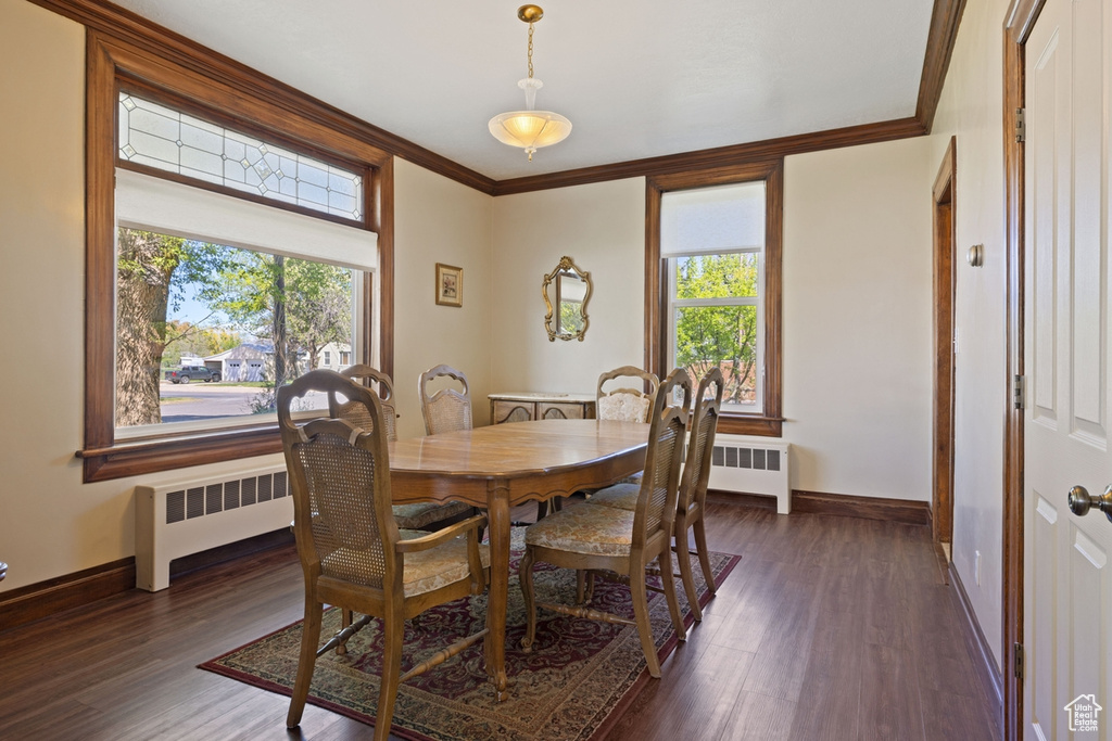 Dining room featuring crown molding, baseboards, plenty of natural light, dark wood-style floors, and radiator heating unit