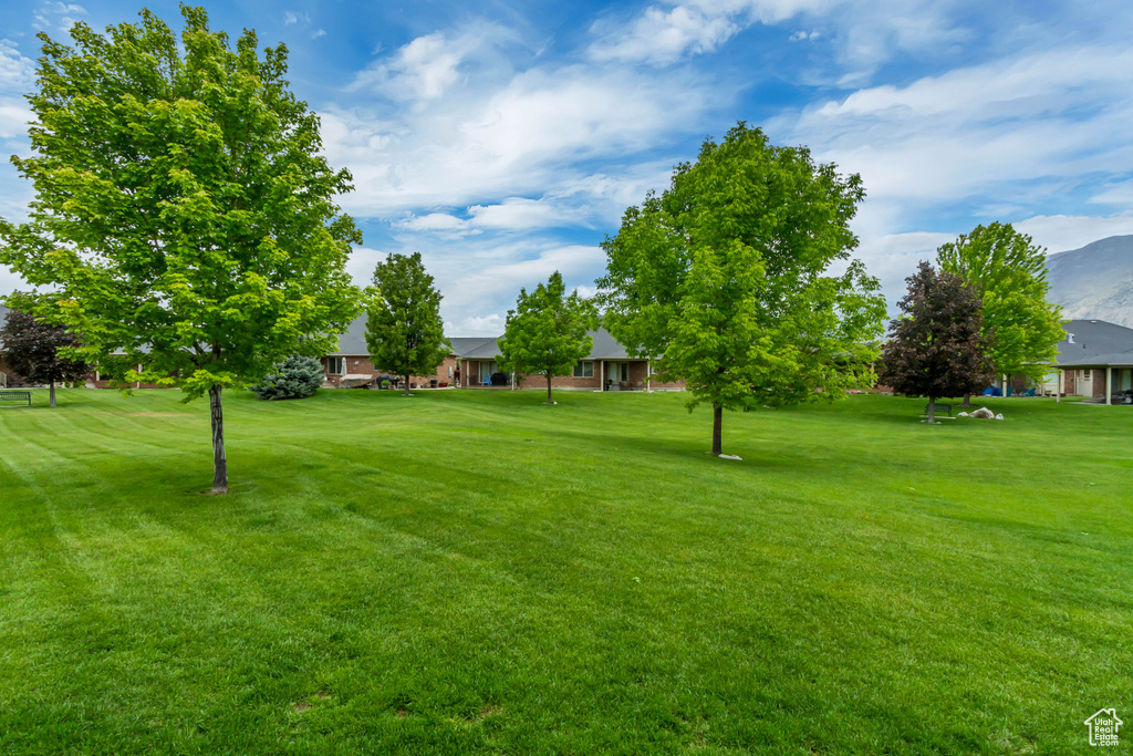 View of grassy yard featuring a mountain view