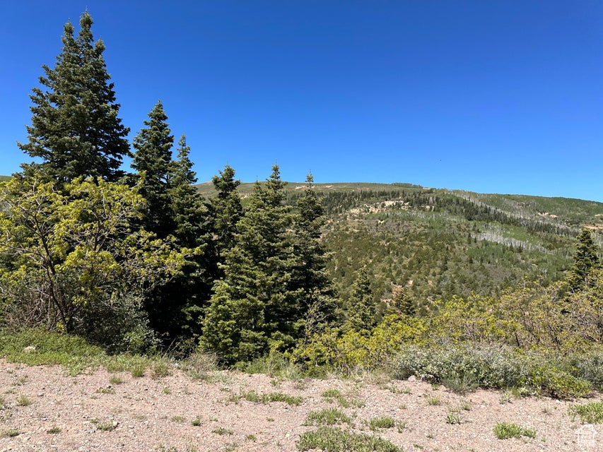 View of undeveloped land