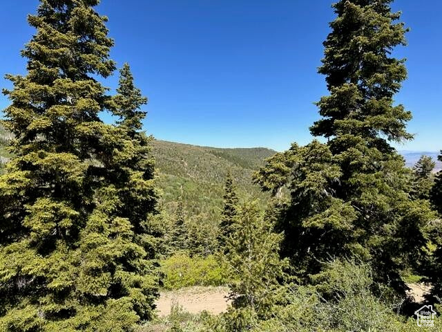Mountain view with a heavily wooded area