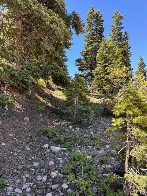 View of nature
