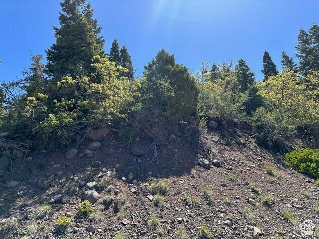 View of undeveloped land